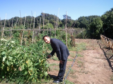 Vegetables Garden of La Posta Vecchia